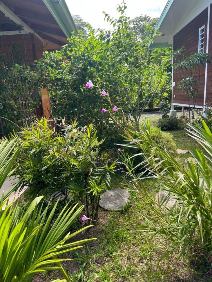 Fare Juanita Piti Apartment Opoa ภายนอก รูปภาพ