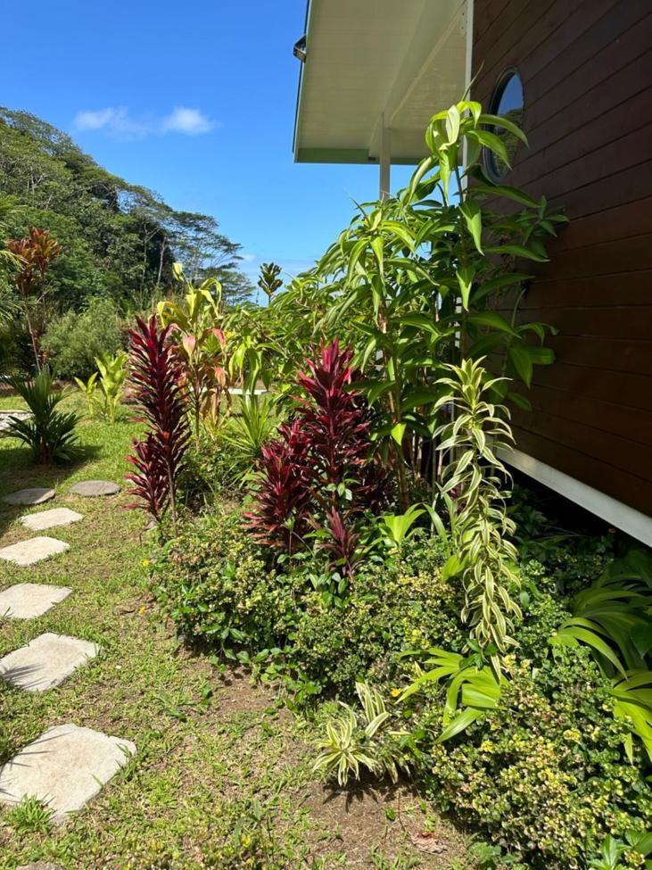 Fare Juanita Piti Apartment Opoa ภายนอก รูปภาพ